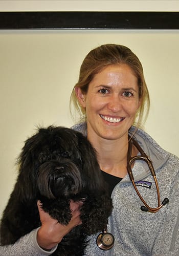 Veterinarians in Boston: Katherine Wheeler DVM