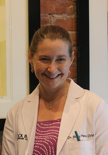 Suzy Pence Veterinarians in Boston: Suzy Pence DVM