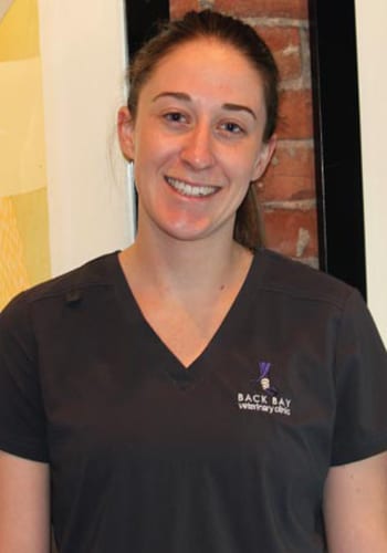 madison Veterinarians in Boston: Madison Bridge