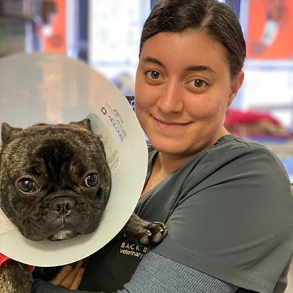 tech holding dog with cone