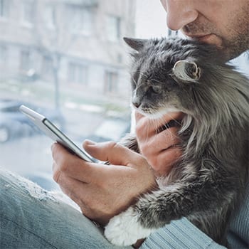 Young man sits on the windowsill, holds a beautiful, fluffy kitten on his lap and reads news on his mobile phone