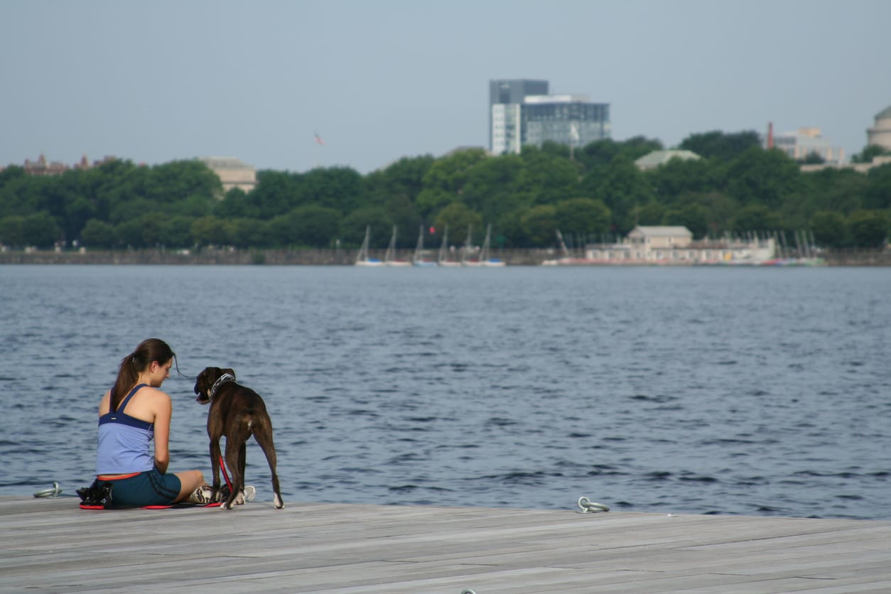 Focus on woman resting on dock with her dog. Background is of Charles River and City of Cambridge on opposite bank.